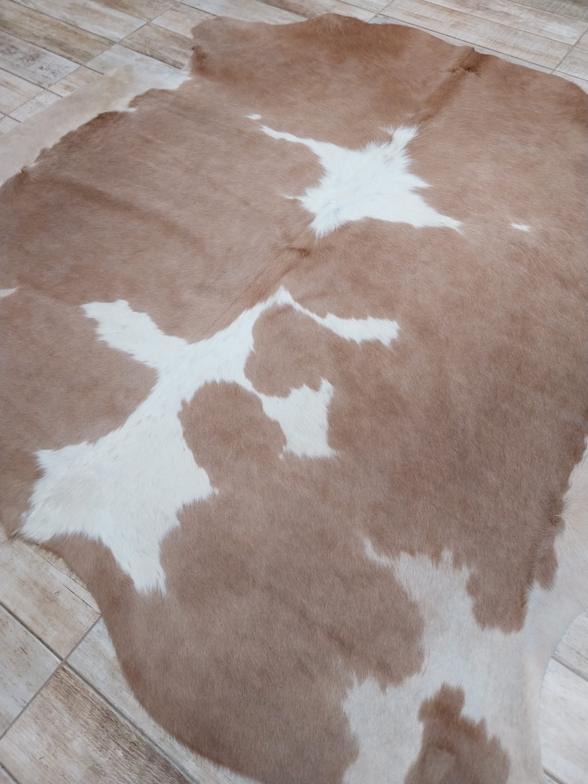 Alfombra vacuno - Imagen 2