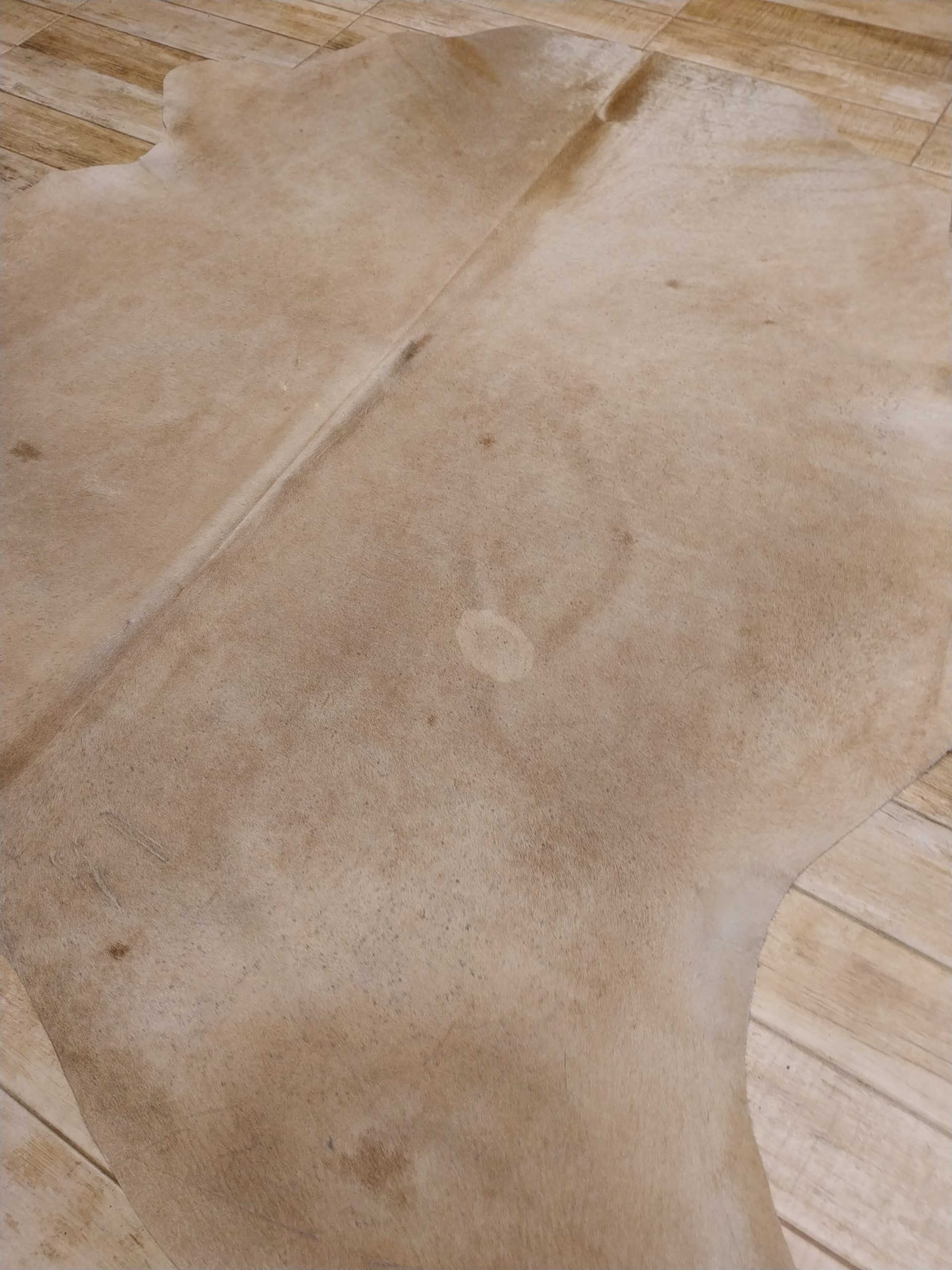 Alfombra vacuno - Imagen 2