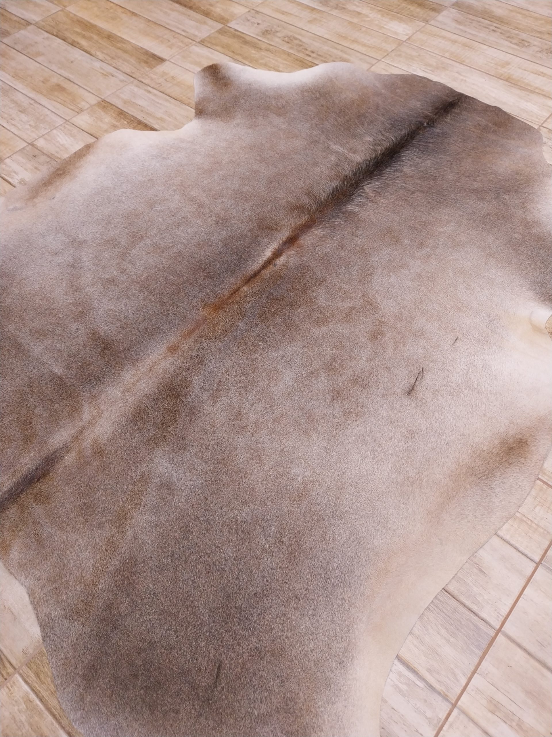 Alfombra vacuno - Imagen 2