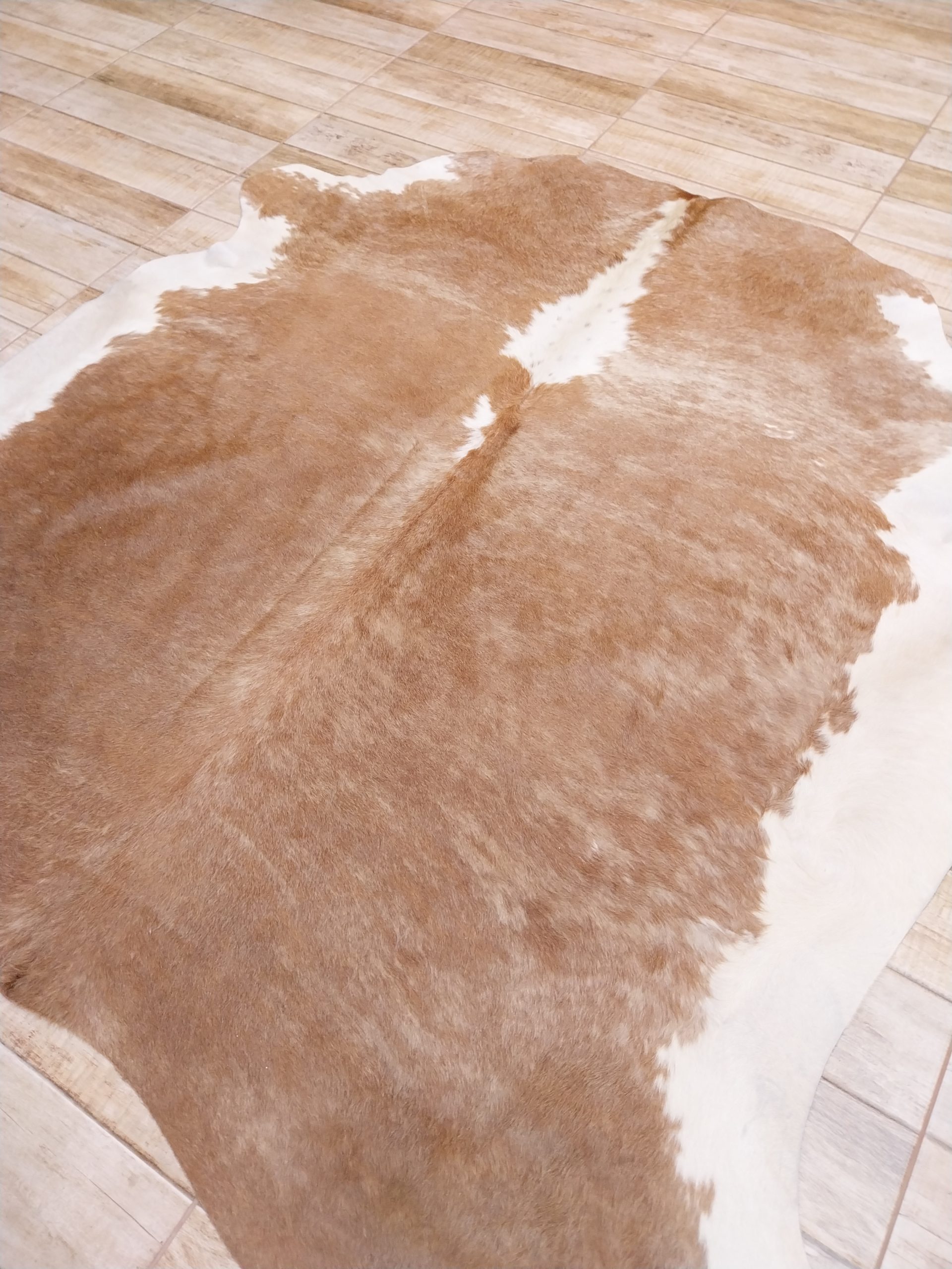 Alfombra vacuno - Imagen 2