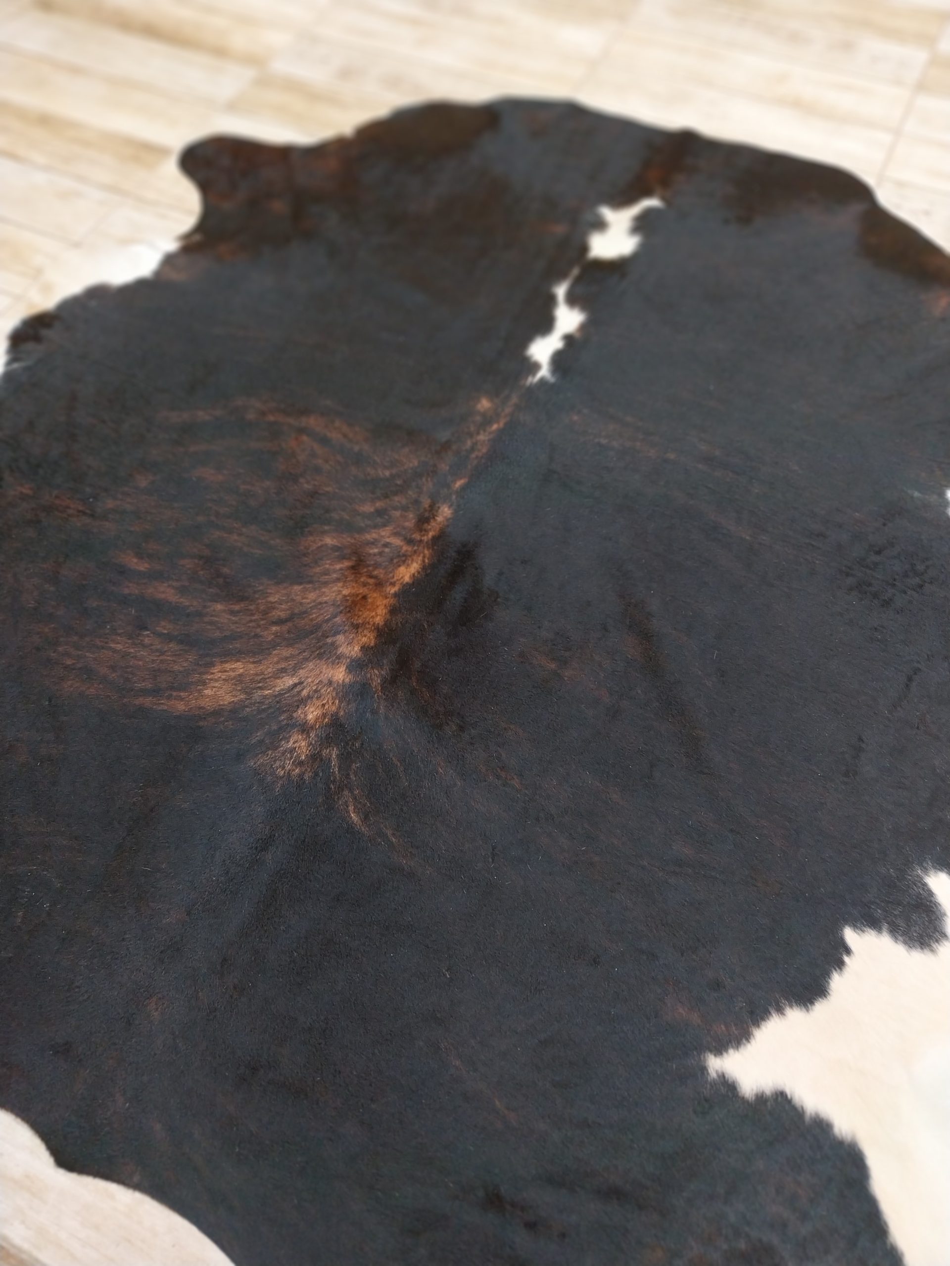Alfombra vacuno - Imagen 2