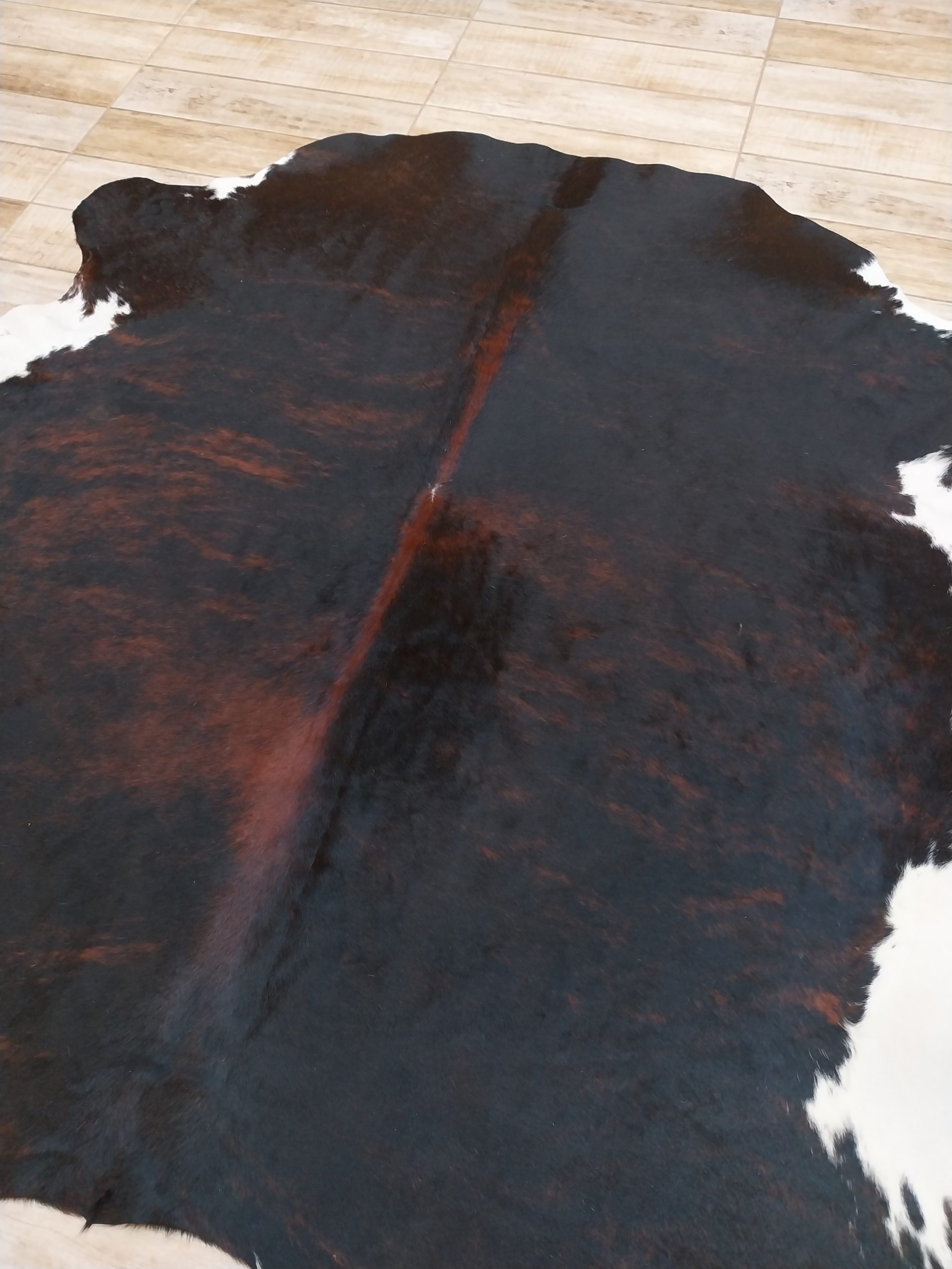 Alfombra vacuno - Imagen 2