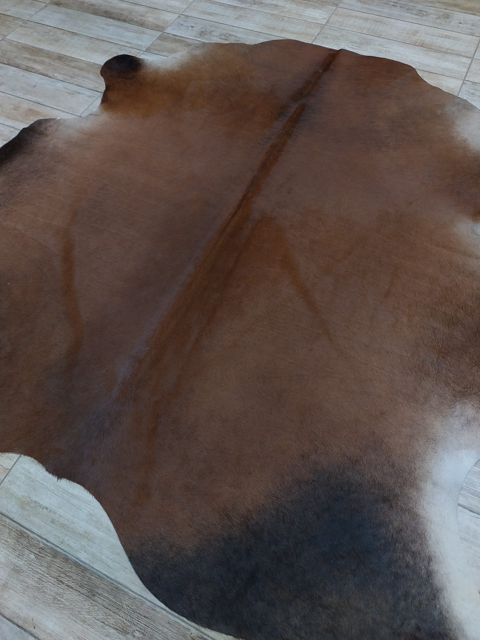 Alfombra vacuno - Imagen 2