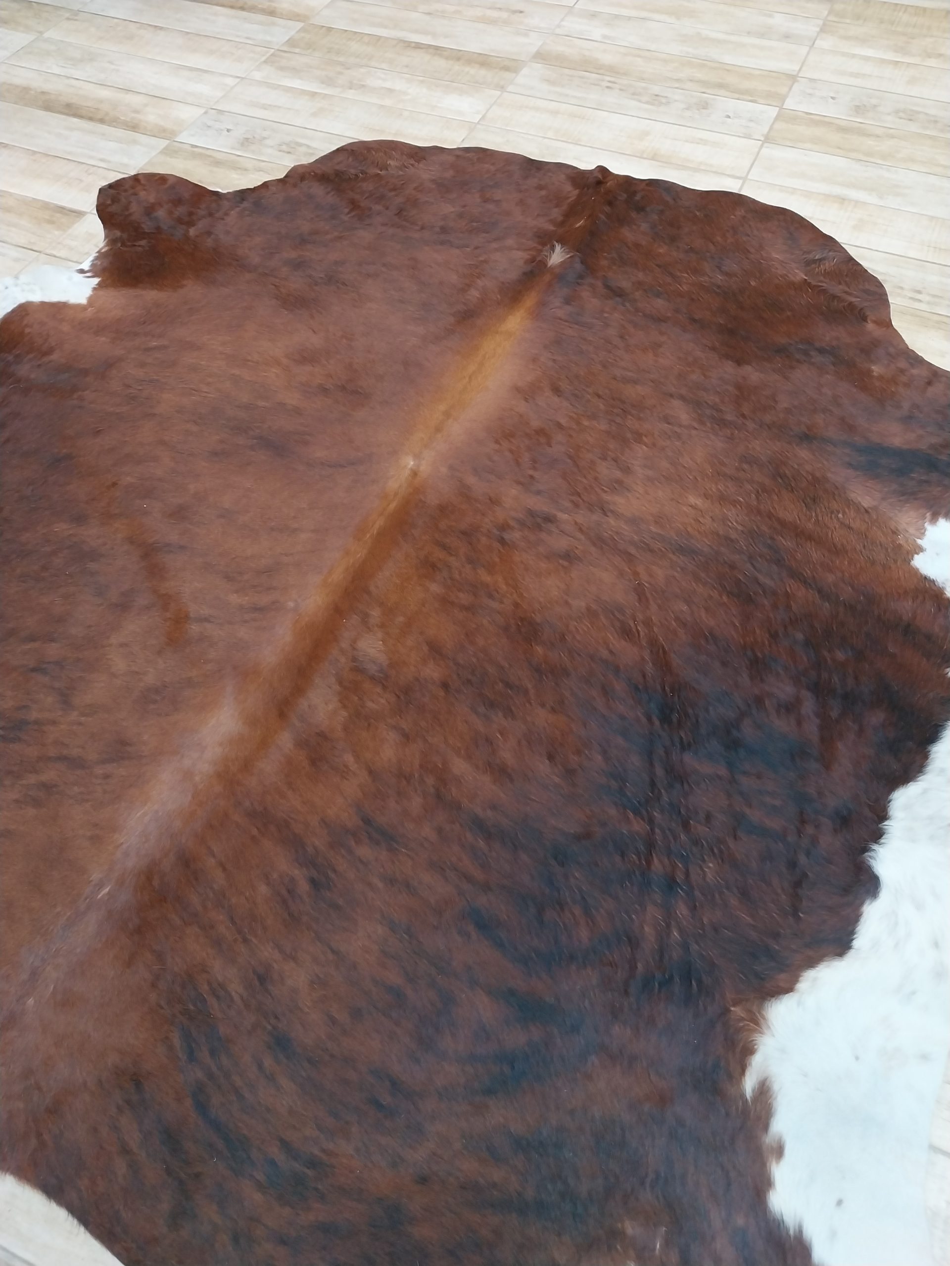 Alfombra vacuno - Imagen 2
