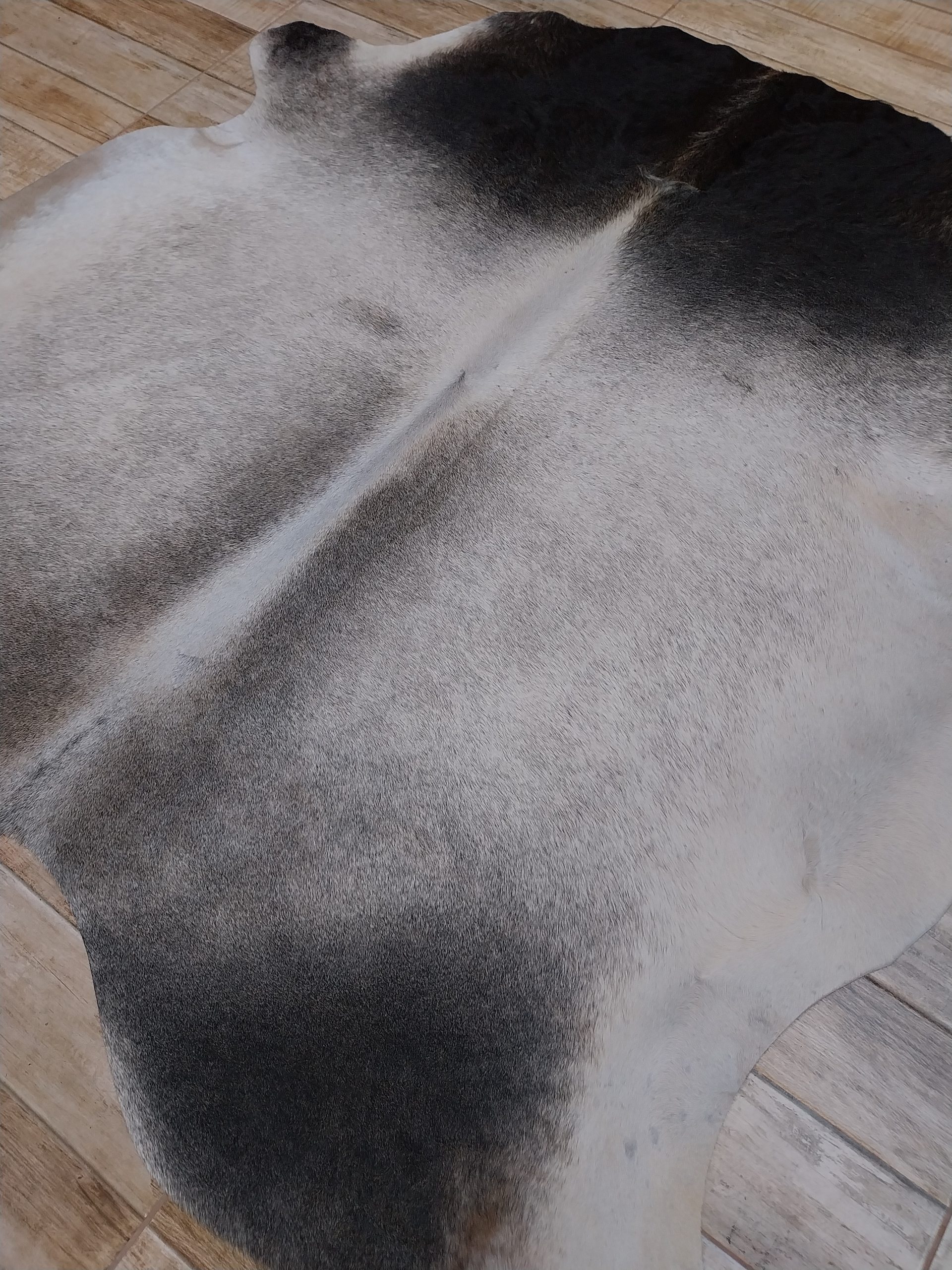 Alfombra vacuno - Imagen 2