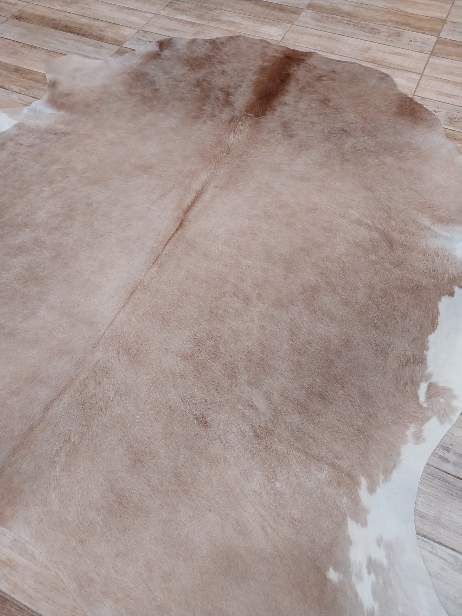 Alfombra vacuno - Imagen 2