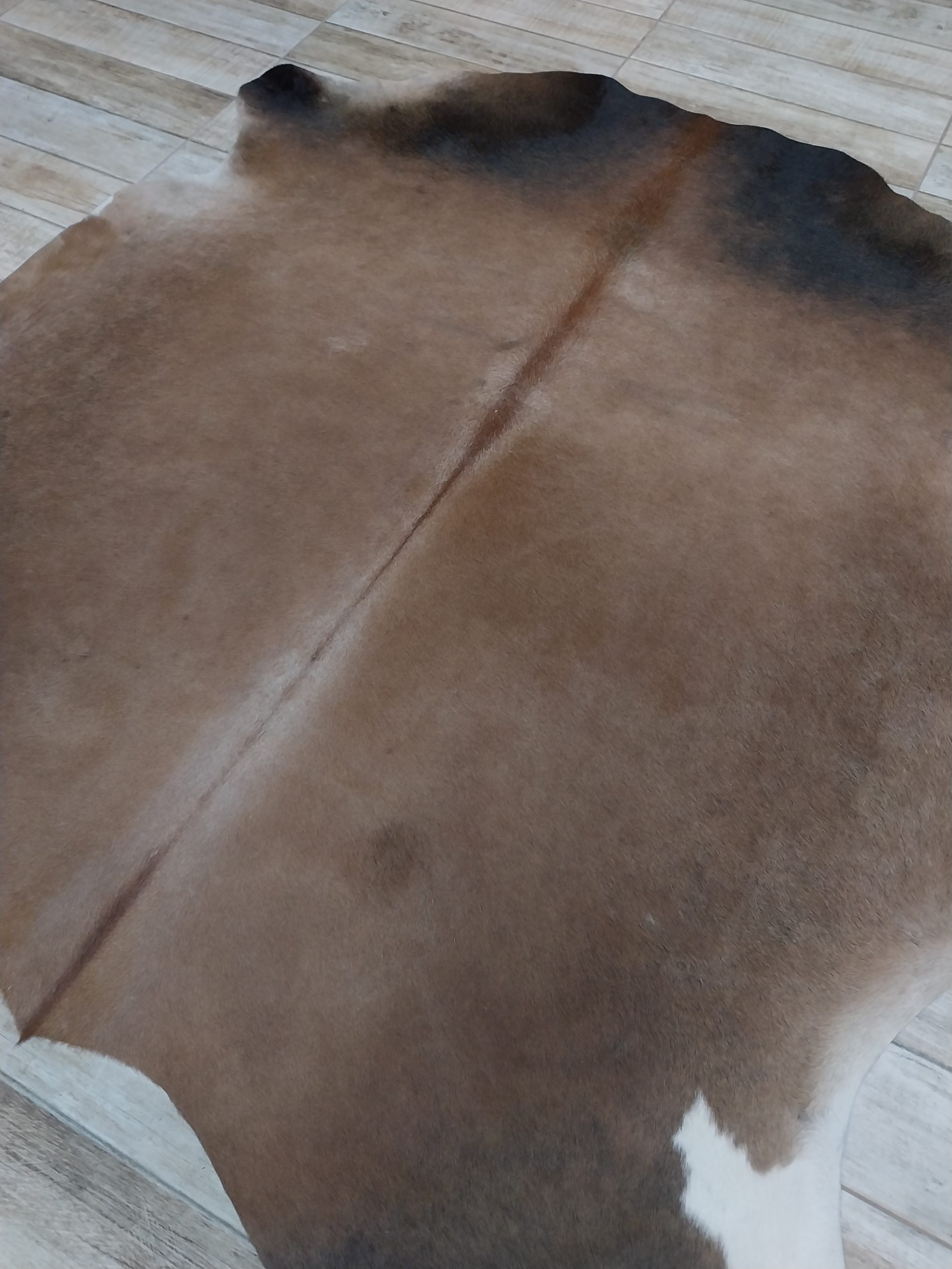 Alfombra vacuno - Imagen 2