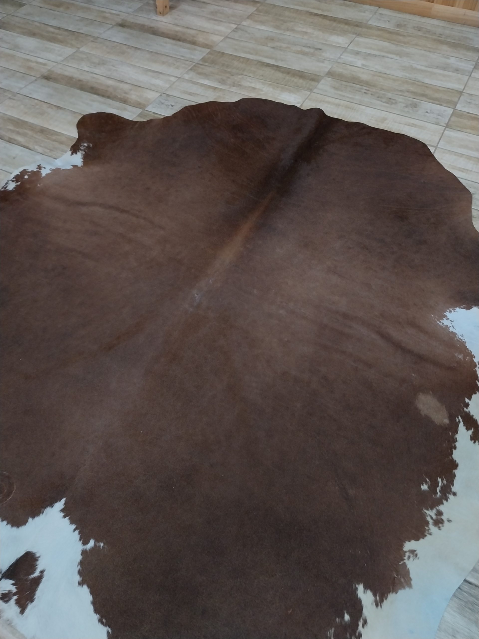Alfombra vacuno - Image 2