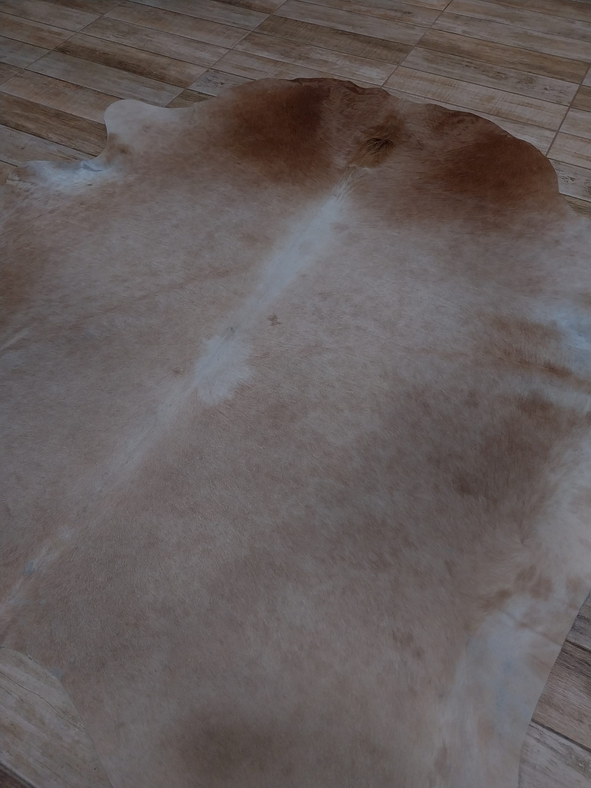 Alfombra vacuno - Imagen 2