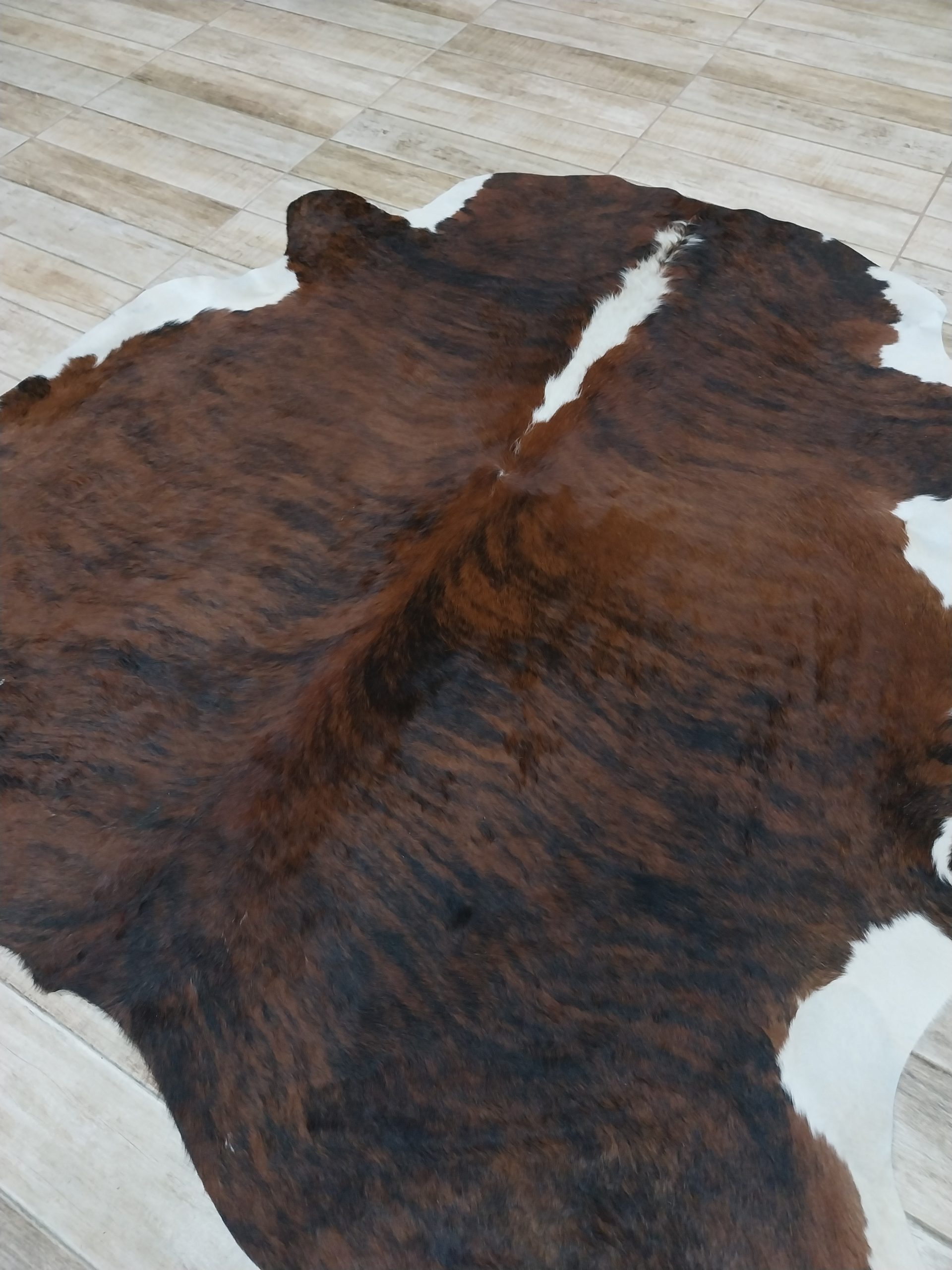 Alfombra vacuno - Imagen 2